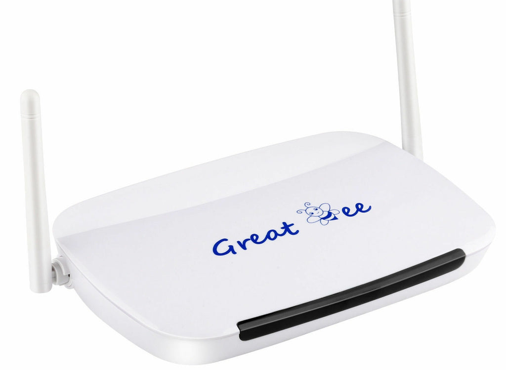 Great Bee with free subscription - ISTARUS.COM
